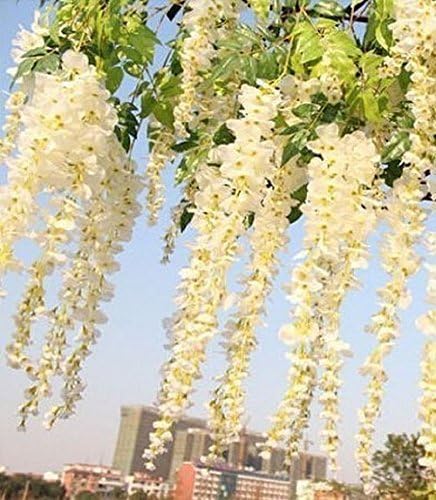 COOBL 3.6 Ft Realistic Romantic Classic Artificial Fake Wisteria Vine Ratta Silk Flowers for Garden Floral Decoration DIY Living Room Hanging Plant Vine Home Party Wedding Decor 12 Pcs (White 60PCS)