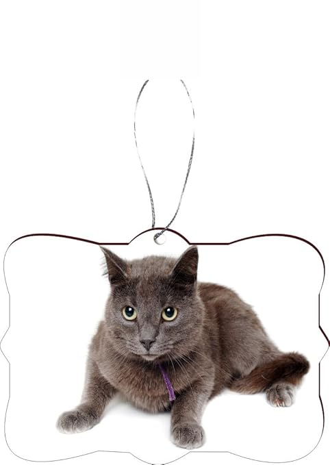 Rikki Knight Rkws Sqorn 45154 Décoration De Sapin De Noël