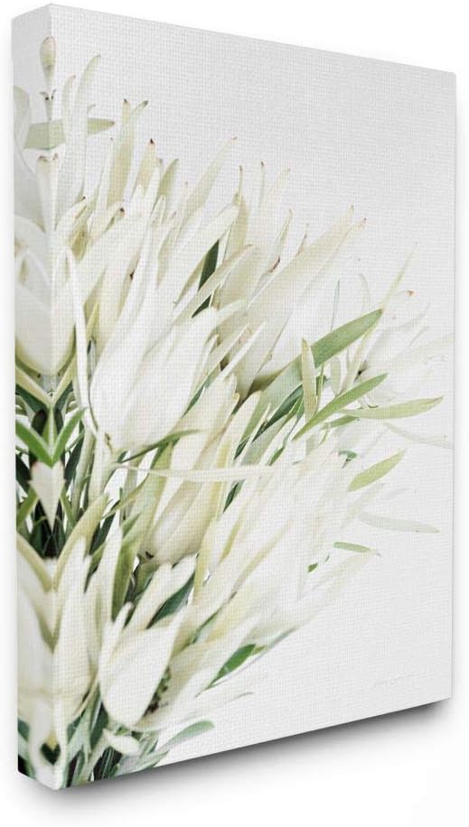 Photographs - Stupell Industries Bright Natural Flower Arrangement White Green Photograph, Designed by Elise Catterall Wall Art, 16 x 20, Canvas