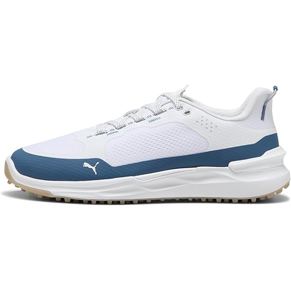 Amazon.com | Puma Men's Ignite Pwradapt Caged Team USA Golf Shoes