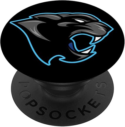 panthers gifts