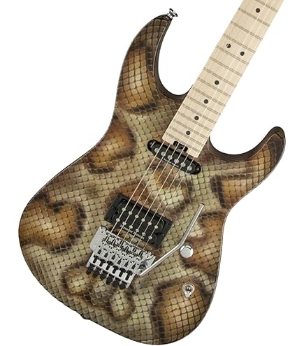 Amazon.com: Charvel Super-Stock SC1 Artist Signature Limited