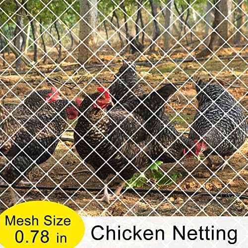V Protek Poultry Fence Garden Bird Netting Anti Bird Protection Net, Chicken Netting, Fruit Vegetables Flower Garden Pond Netting, 6x25ft, White