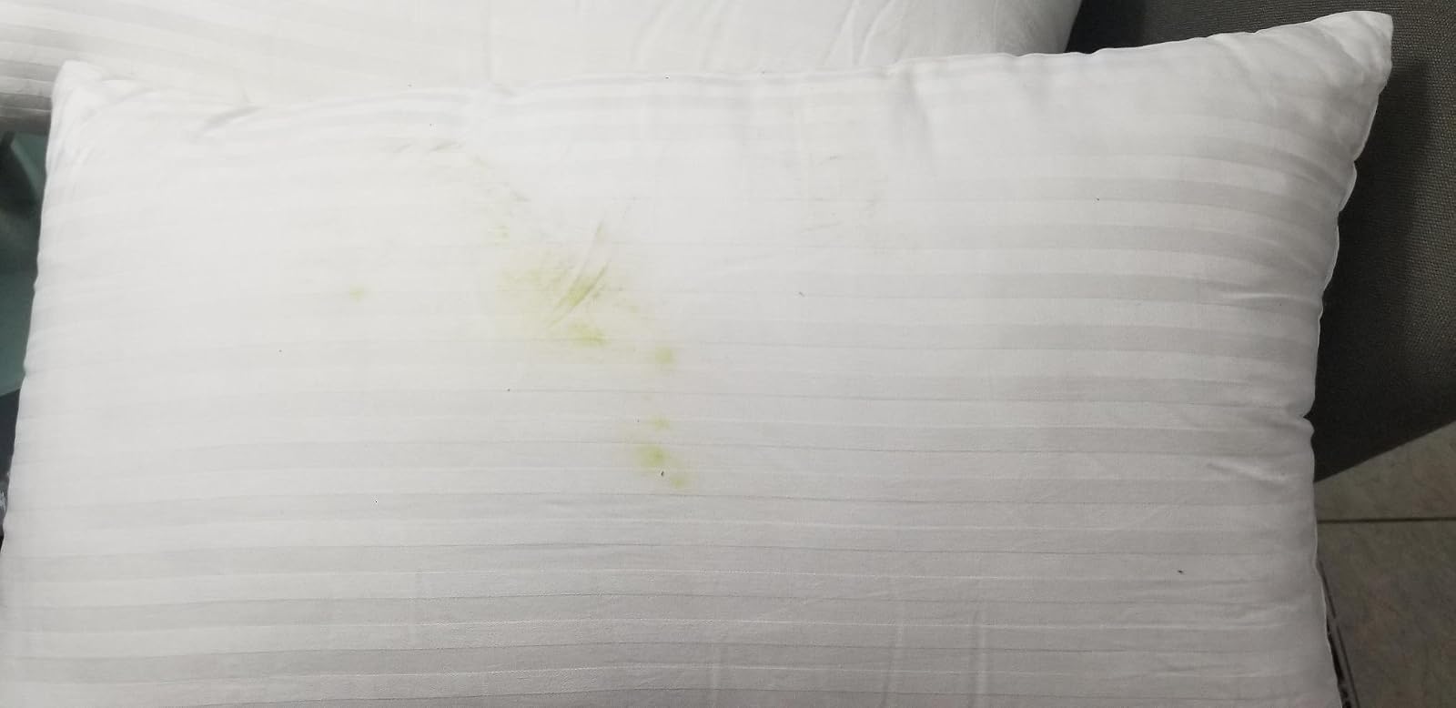 User review photo