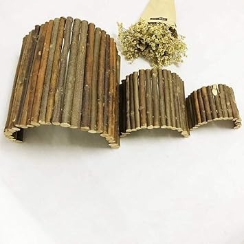 Jbldy Reptil Schildkrote Hamster Eidechse Golden Bear Evasion Haus