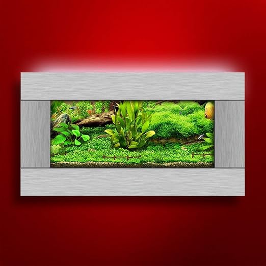 wall mounted aquarium