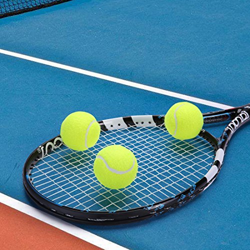 12 Pack Training Tennis Balls-IANONI Great Tennis Balls For Lessons,Practice,Playing With Pets-Closeable Mesh Carrying Bag For Easy Transport And Storage