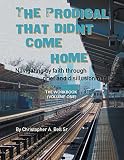 The Prodigal That Didn't Come Home: Navigating by Faith Through Grief and Disillusionment by Christopher A Bell