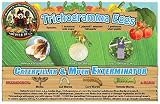 Bug Sales Caterpillar & Moth Exterminator- Trichogramma 3 Squares/ 12,000 Eggs
