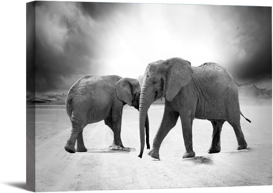 1 Piece With Framed Prints Artwork Elephant Animal Pictures Paintings on Canvas Wall Art for Home Decor 12"X16" Ready to Hang