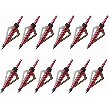 12 Pointes De Flèche (broadheads) 125 Grains Pour Chasse à L'arc - Vis