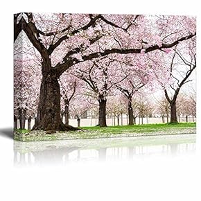 Blossoming Cherry Trees in an Ornamental Garden Pastel...