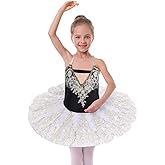 IBAKOM Ballerina Swan Lake Costume for Girl Dance Leotard Pancake Platter Tutu Kids Professional Ballerina Ballet Outfits