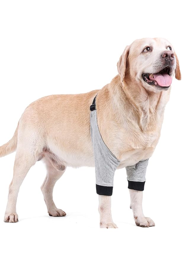 diy dog elbow protector