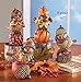 Fall Harvest Bird Sitter Decorations - Set of 4