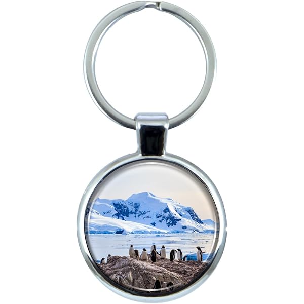 Amazon.com: VILLA CRAFT Tokyo Japan Keychain with Epoxy Dome and