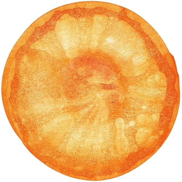 Fishmans - ORANGE (No Bonus) [Analog] - Amazon.com Music