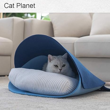 whale cat bed