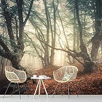 Wall Mural Landscape of Forest Removable Self-Adhesive Wallpaper Wall Decoration for Bedroom Living Room - 66x96 inches