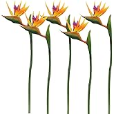 Calcifer 32'' Real Touch Bird of Paradise Artificial Flowers Bouquet for Home Garden Decoration/Wedding Party Decor Orange (Package Quantity: 5 Stems)