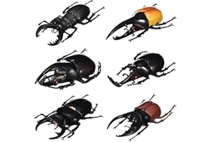 Hiawbon 5.5 inch Fake Beetle Simulated Beetle Model Realistic Plastic Beetle Figures for Fairy Garden Decoration, Set of 6