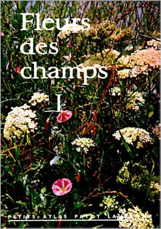 Fleurs Des Champs 1 Numéro 13 9782601020137 Amazoncom Books