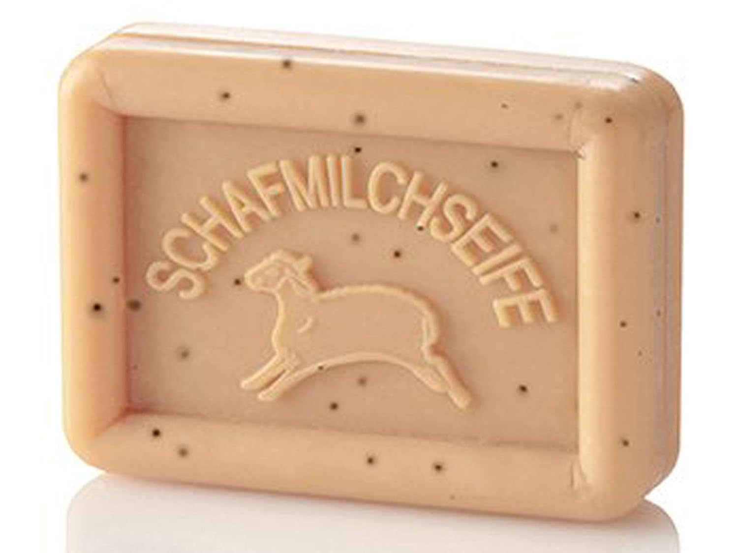 Poco a poco, sea cual sea el clima... Imán para nevera 186: Amazon ...