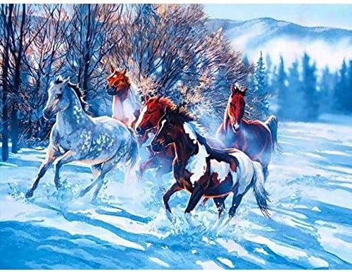 Wivilly Children's DIY Oil Painting By Numbers Kits,Horses on Snow 12 X 16 inch,Acrylic Colorful Drawing Educational Toys for Kids to Draw on Canvas