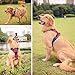 BARKBAY No Pull Dog Harness Large Step in Reflective Dog Harness with Front Clip and Easy Control Handle for Walking Training Running