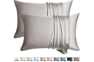 WLOSJ 100% Silk Pillow Cases 2 Pack Queen Size Mulberry Silk Pillowcase for Hair and Skin Set of 2 Highest Grade 6A Silk Soft Breathable Cooling with Hidden Zipper, Grey
