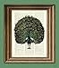 Peacock Art Front Print bird illustration beautifully upcycled dictionary page book art print