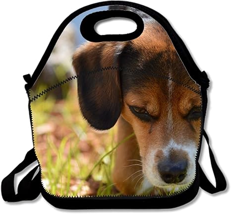 Amazon 断熱ネオプレンランチバッグ 犬ビーグル犬動物クローズアップ草かわいいパンダ柄 再利用可能なトートバッグ ランチボックス ランチバッグ ランチ巾着 ランチベルト オンライン通販 Amazon 断熱ネオプレンランチバッグ 犬ビーグル犬動物クローズアップ草かわいいパンダ柄 再利用可能なトートバッグ ランチボックス ランチバッグ ランチ巾着 ランチベルト オンライン通販