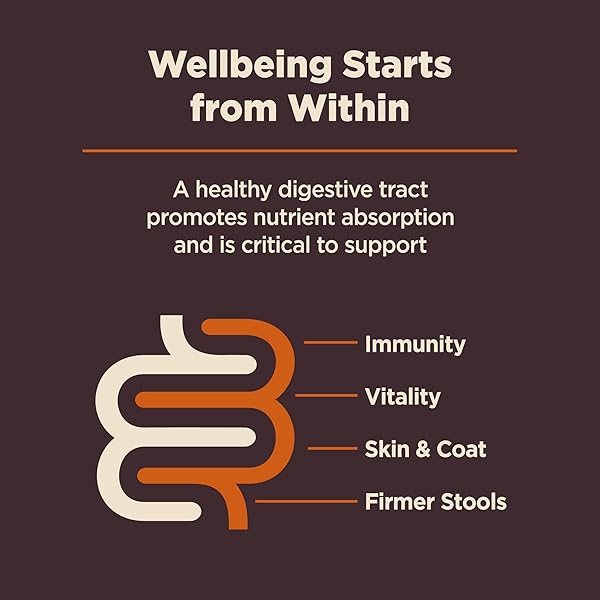 WELLNESS CORE DIGESTIVE HEALTH SMALL BREED ADULT DRY DOG FOOD, WHOLESOME GRAIN KIBBLE, SENSITIVE STOMACH, NATURAL, HIGH PROTEIN, CHICKEN RECIPE, 4 LB BAG