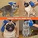Just Happy Pets 3 In 1 Pet Grooming Glove- Soft Pet Deshedding Tool + Pet Massage + Furniture Pet Hair Remover- Pet Groomer Mitt For Short & Long Hair Dog, Cat, Rabbit, Horse +BONUS Pet Dematting Comb