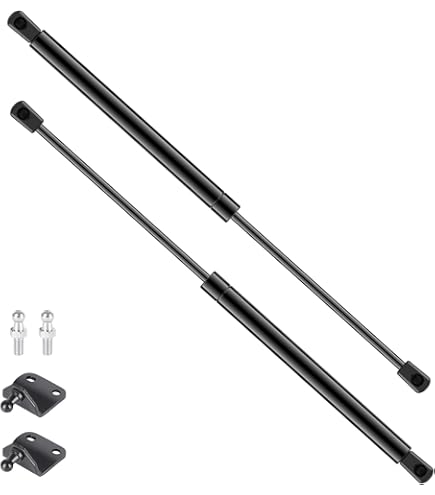 Dasbecan 1 Pair Left Driver and Right Passenger Side Exterior Door