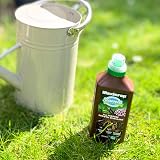 Maxicrop POPGSYDL Seaweed Extract Organic Plant Growth Stimulant 500ML view 7