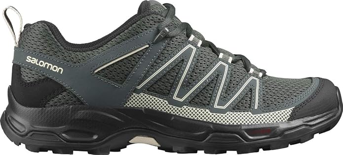 salomon pathfinder low