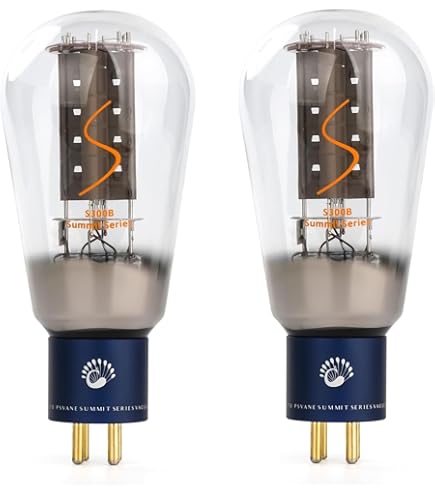 Amazon.com: SHUGUANG Treasure 300B-Z Vacuum Tube Matched Pair