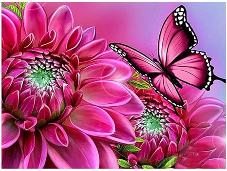 Amazon Co Jp 数字の絵の具 Diy 油絵 数字の絵 子 ト 子供 大人用 花と蝶 16インチ X インチ ブ フレームレス ホーム キッチン