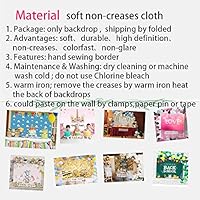 Blue Sky White Cloud Step And Repeat Photography Backdrop Newborn