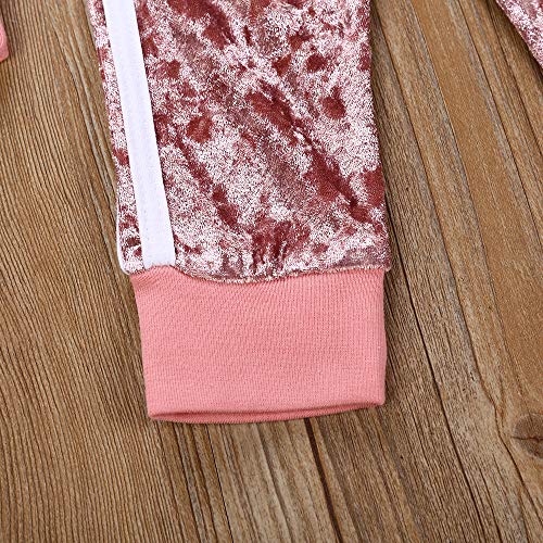 2Pcs Baby Girls Boys Velvet Long Sleeve Blouse Tops + Long Pants Outfits Set Coral Fleece Fall Winter Clothes (Pink, 110 (3-4T))