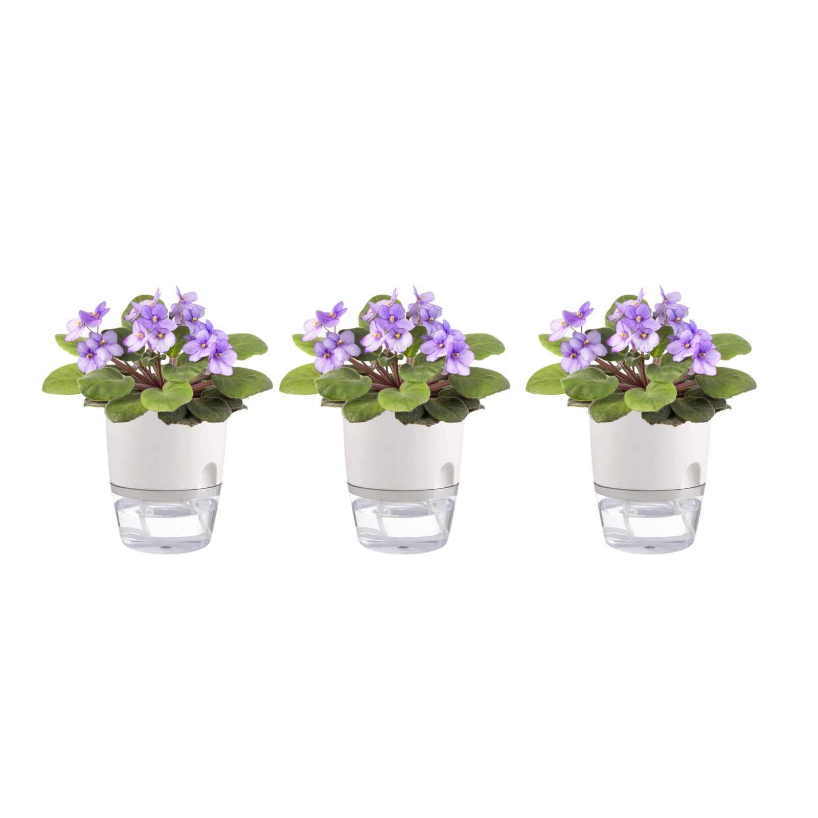 Photo 1 of Thorkok 3.2 Inch Self Watering Planters Plastic Planter Pots 3 Pack Wicking Flower Pots Modern Decorative Planter for Small African Violets House Plants,Herbs,Indoor Outdoor Plant (White)
