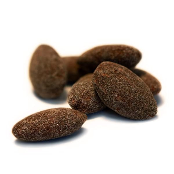 BLUE DIAMOND ALMONDS OVEN ROASTED DARK CHOCOLATE FLAVORED SNACK NUTS, 14 OZ RESEALABLE BAG (PACK OF 1)