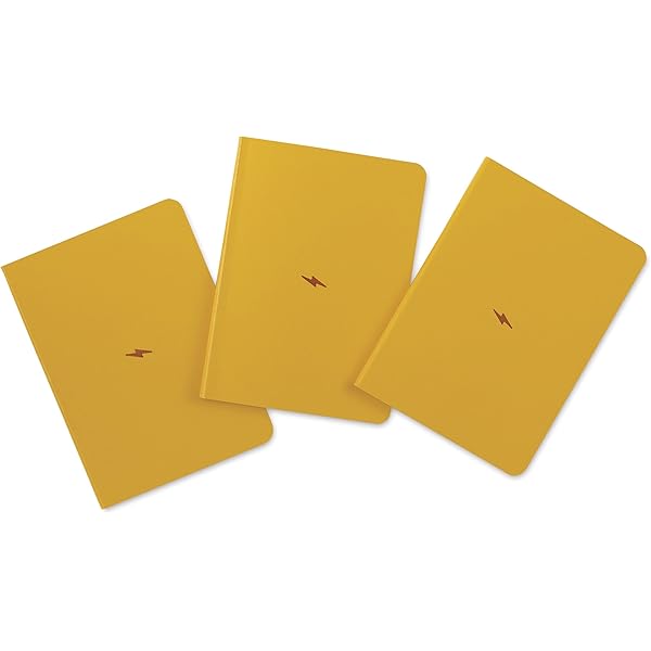 The Bullet Journal Method: Track the Past, Order the Present