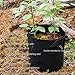 FiveSeasonStuff 12 Pack 2 Gallons Grow Bags – Black Breathable Fabric Pots for Healthier Plants Flowers – Heavy Duty Thick Container with Tear Resistant Handles – Aeration Planters for Smart Gardeningthumb 2