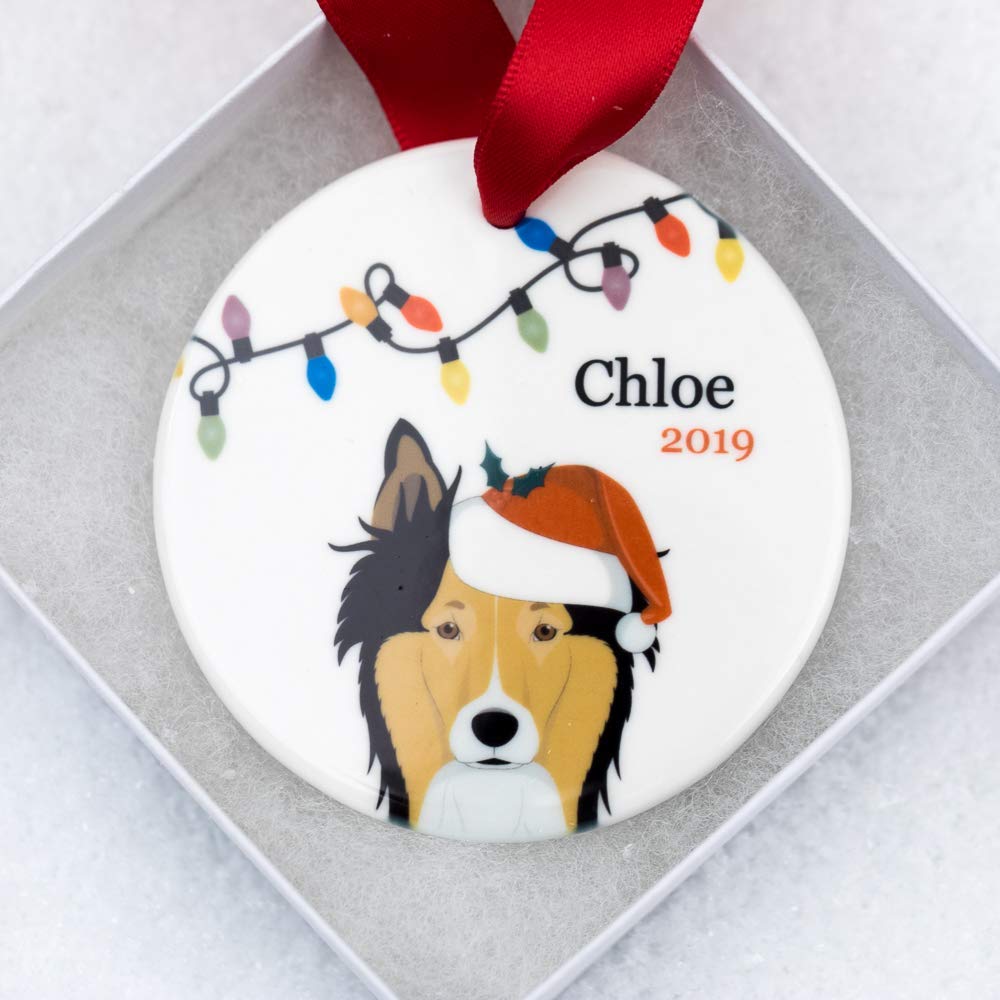 trimming sheltie pants