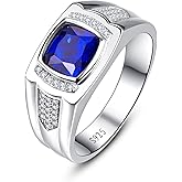 Yaresul Blue Sapphire Ring for Men 925 Sterling Silver Mens September Birthstone Ring Pave CZ W/AAA Princess Cut Wedding Band Gift for Dad Size 9