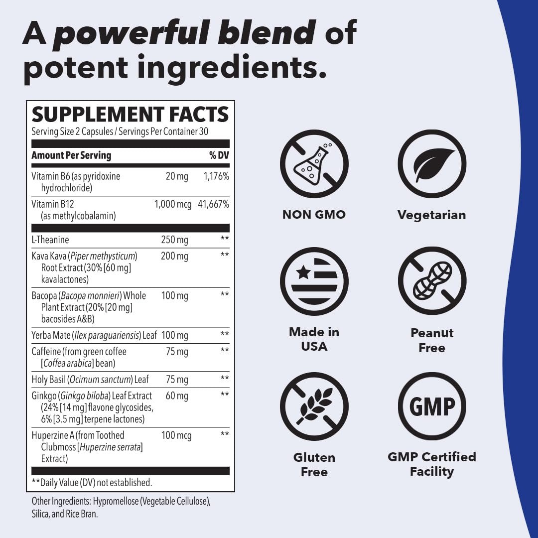 LifeSeasons - Focus-R - Concentration Support Supplement - All Ages - Enhances Mental Performance & Focus - Increases Attention Span - L-Theanine, Kava Kava, Bacopa, Vitamin B & More - (60 Capsules)