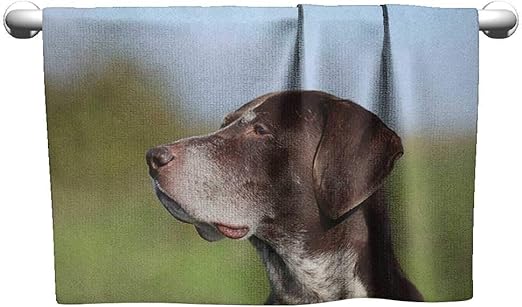 Amazon Com Tankcsard Towel Hunting German Short Haired Pointer In