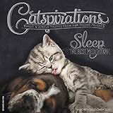 Catspirations 2017 Wall Calendar by 